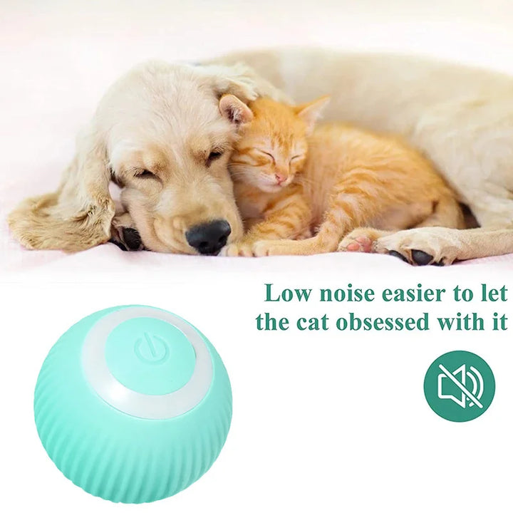 2023 NOVOS Brinquedos Elétricos para Cães Bola Inteligente para Filhotes Brinquedos para Gatos Cães Pequenos Bola Engraçada de Rolamento Automático Brinquedos para Filhotes de Cachorro Auto-movidos